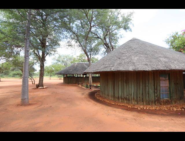 FARM FOR SALE IN LEPHALALE